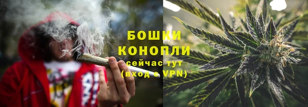 ГАЛЛЮЦИНОГЕННЫЕ ГРИБЫ Козловка