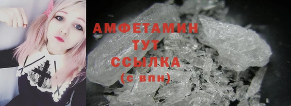 ГАЛЛЮЦИНОГЕННЫЕ ГРИБЫ Козловка