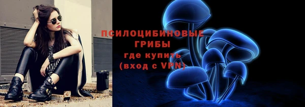 ГАЛЛЮЦИНОГЕННЫЕ ГРИБЫ Козловка