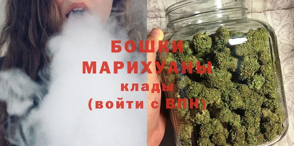 ГАЛЛЮЦИНОГЕННЫЕ ГРИБЫ Козловка