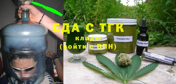 ГАЛЛЮЦИНОГЕННЫЕ ГРИБЫ Козловка