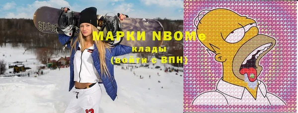 ГАЛЛЮЦИНОГЕННЫЕ ГРИБЫ Козловка