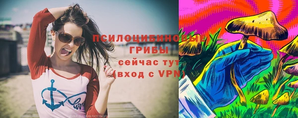 mix Козельск