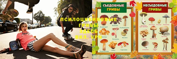 mix Козельск