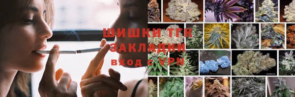 ГАЛЛЮЦИНОГЕННЫЕ ГРИБЫ Козловка