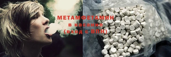 ГАЛЛЮЦИНОГЕННЫЕ ГРИБЫ Козловка