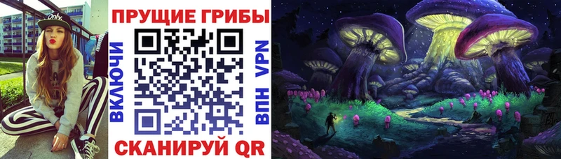 Купить где  Городовиковск  Псилоцибиновые грибы мицелий 
