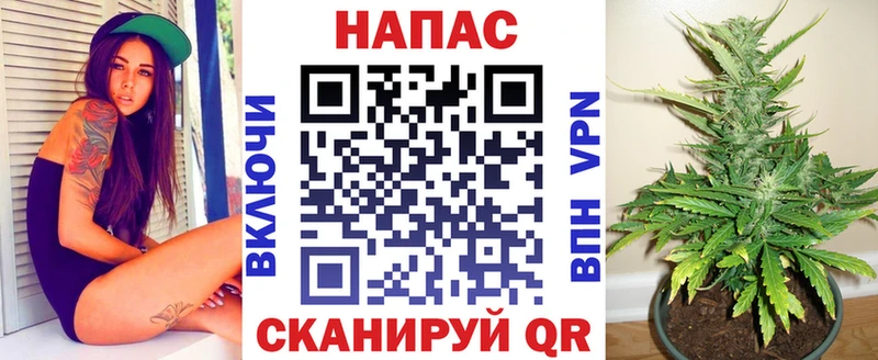Канабис SATIVA & INDICA  Купить  Городовиковск 